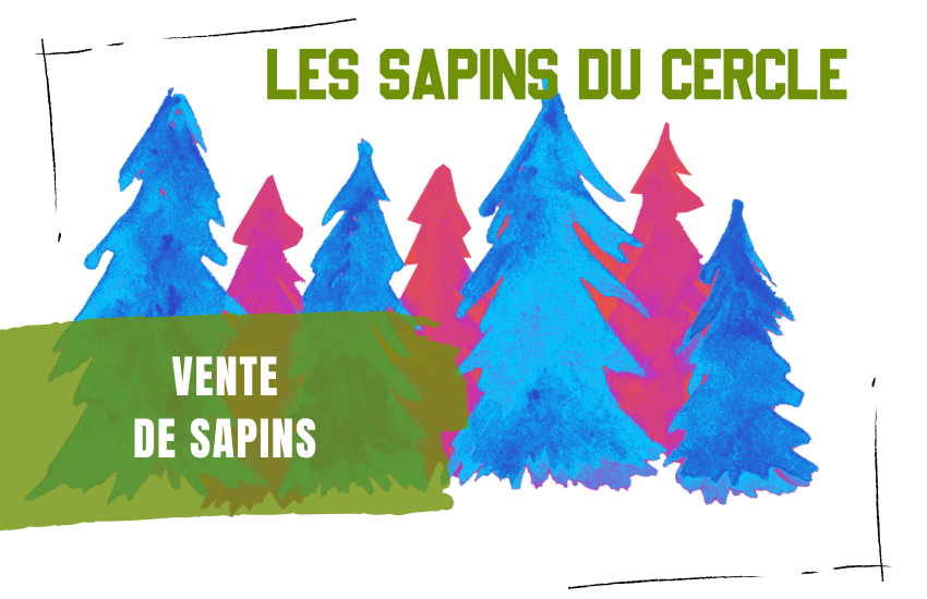 Les Sapins du CSB !